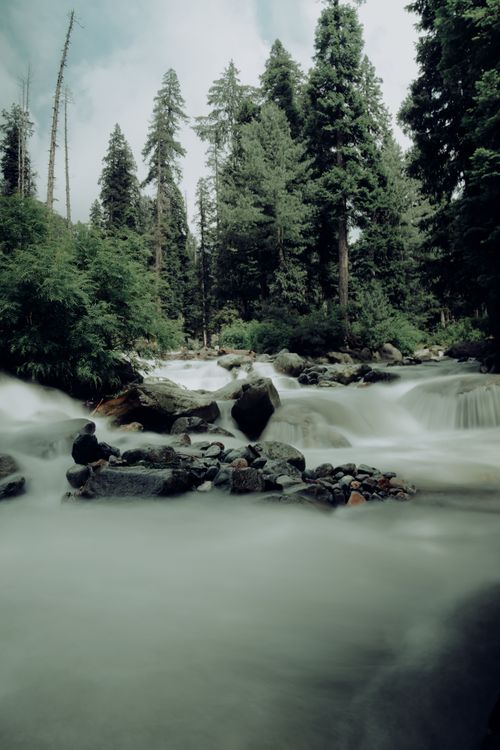 Free Peaceful forest creek captured with a long exposure, showcasing nature's tranquility and lush greenery. Stock Photo