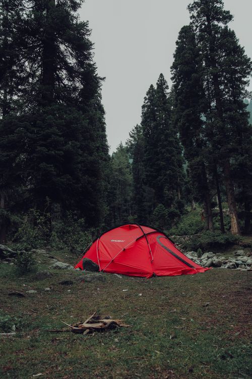 Free A vibrant red tent situated in a serene forest, perfect for outdoor adventurers. Stock Photo