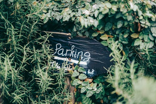 Parking Signage Hidden on Plants