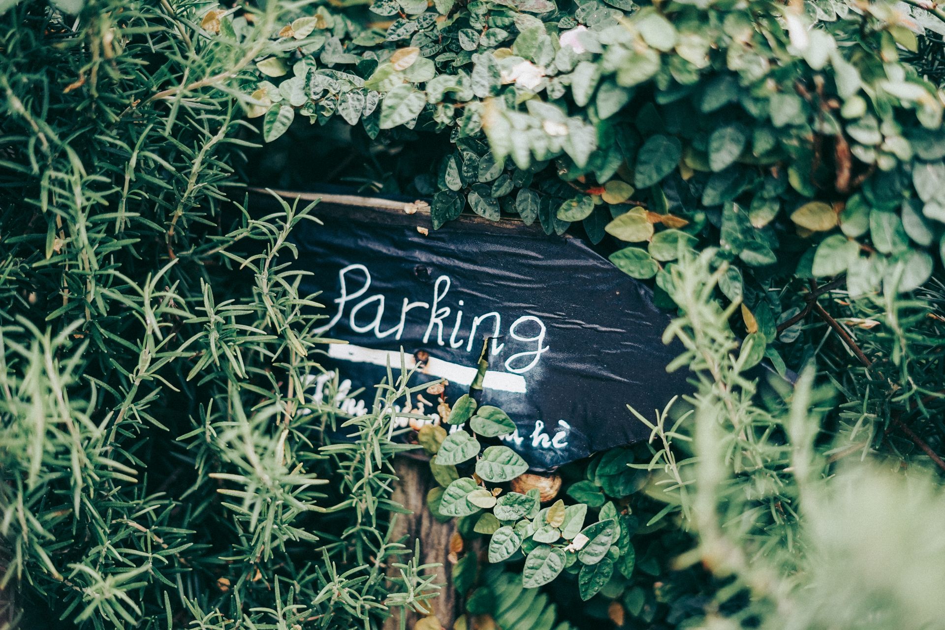 A wooden parking sign hidden among lush green leaves and foliage, blending with nature.