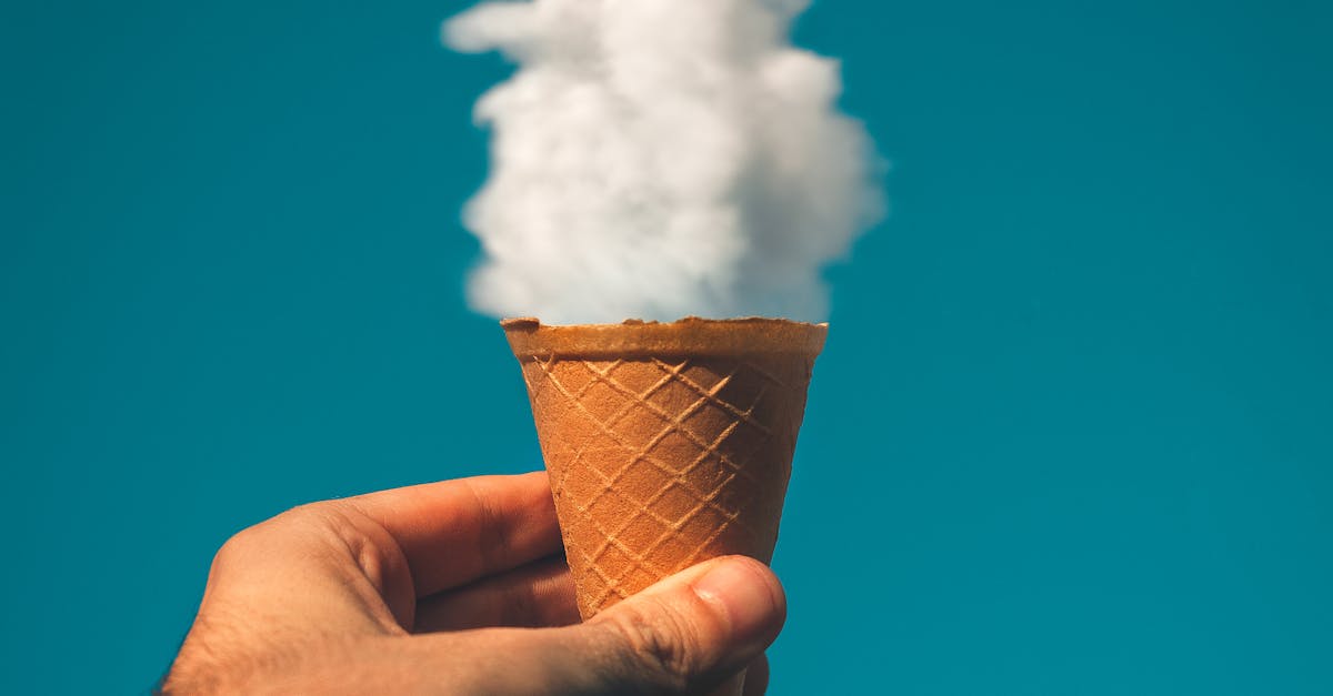What is cone mean in English