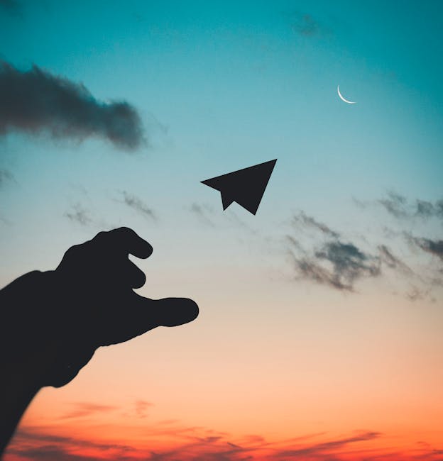 ID: a sunset fills the background while the sillouette of an open hand throws a silloutted paper airplane towards a crescent moon.