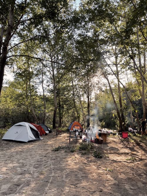 Free A serene campsite in the woods with tents and a campfire in Karaisalı, Adana, Turkey. Stock Photo