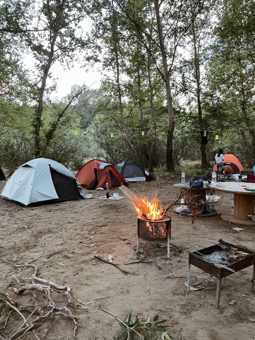 Free Campfire surrounded by tents in a lush forest campsite in Karaisalı, Turkey. Stock Photo
