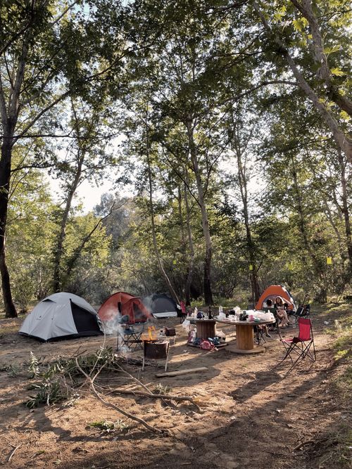 Free Serene camping site amidst tall trees in Karaisalı, Turkey. Perfect outdoor retreat. Stock Photo