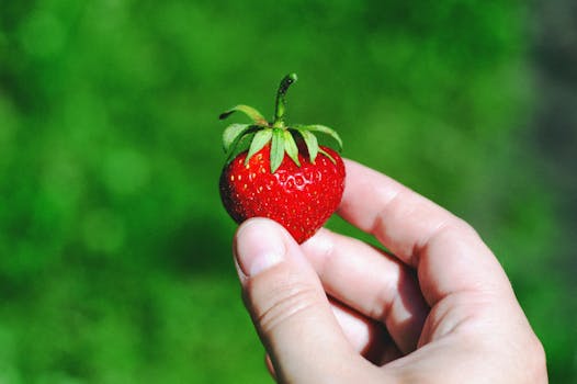 A person holding a ripe strawberry in a garden setting with vibrant green background.