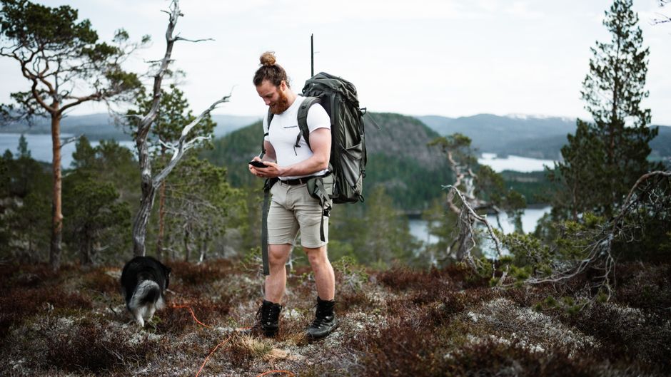 Best Summer Adventure Gear for Active Dogs (Hiking, Beach, Camping)