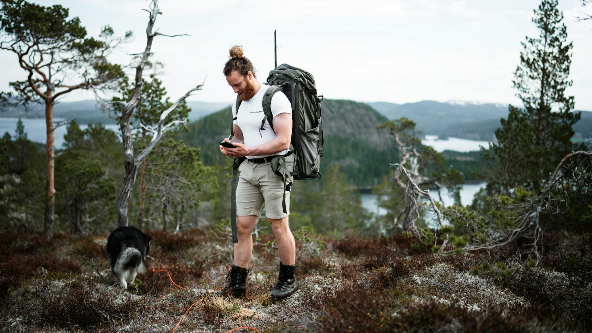 Hiker with Dog in Mountains