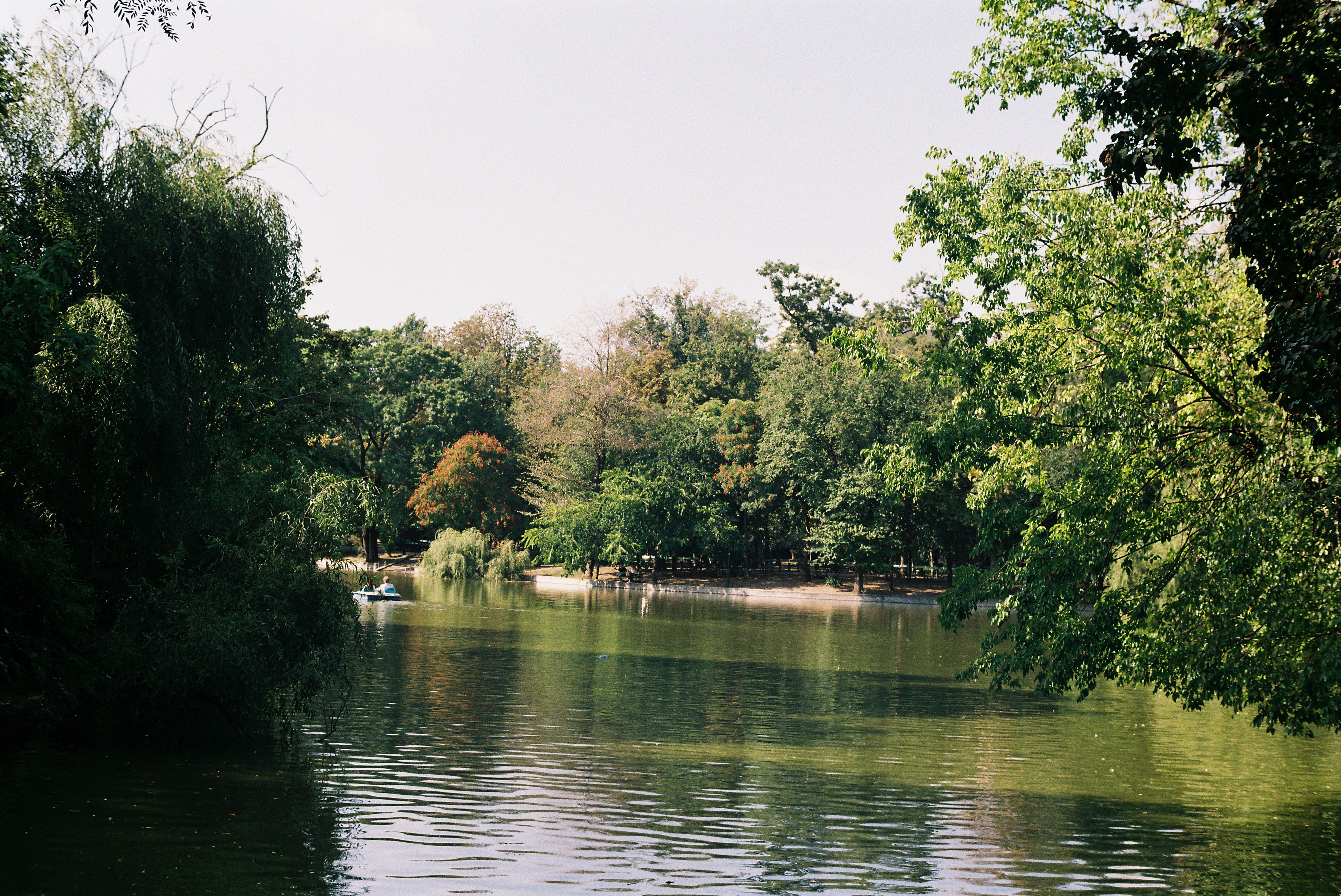 A tranquil lake surrounded by vibrant green trees, capturing summer's essence.