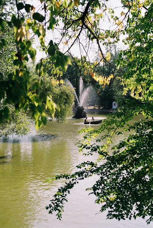 Photo of a Fountain near Trees