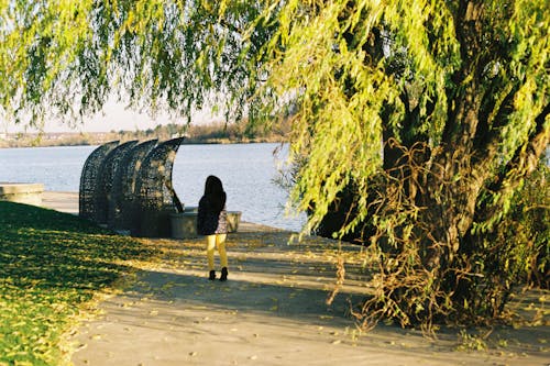 Back View of a Person Walking by the Lake