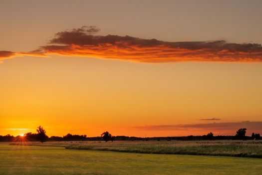 Beautiful sunset casting golden glow over a peaceful agricultural field.