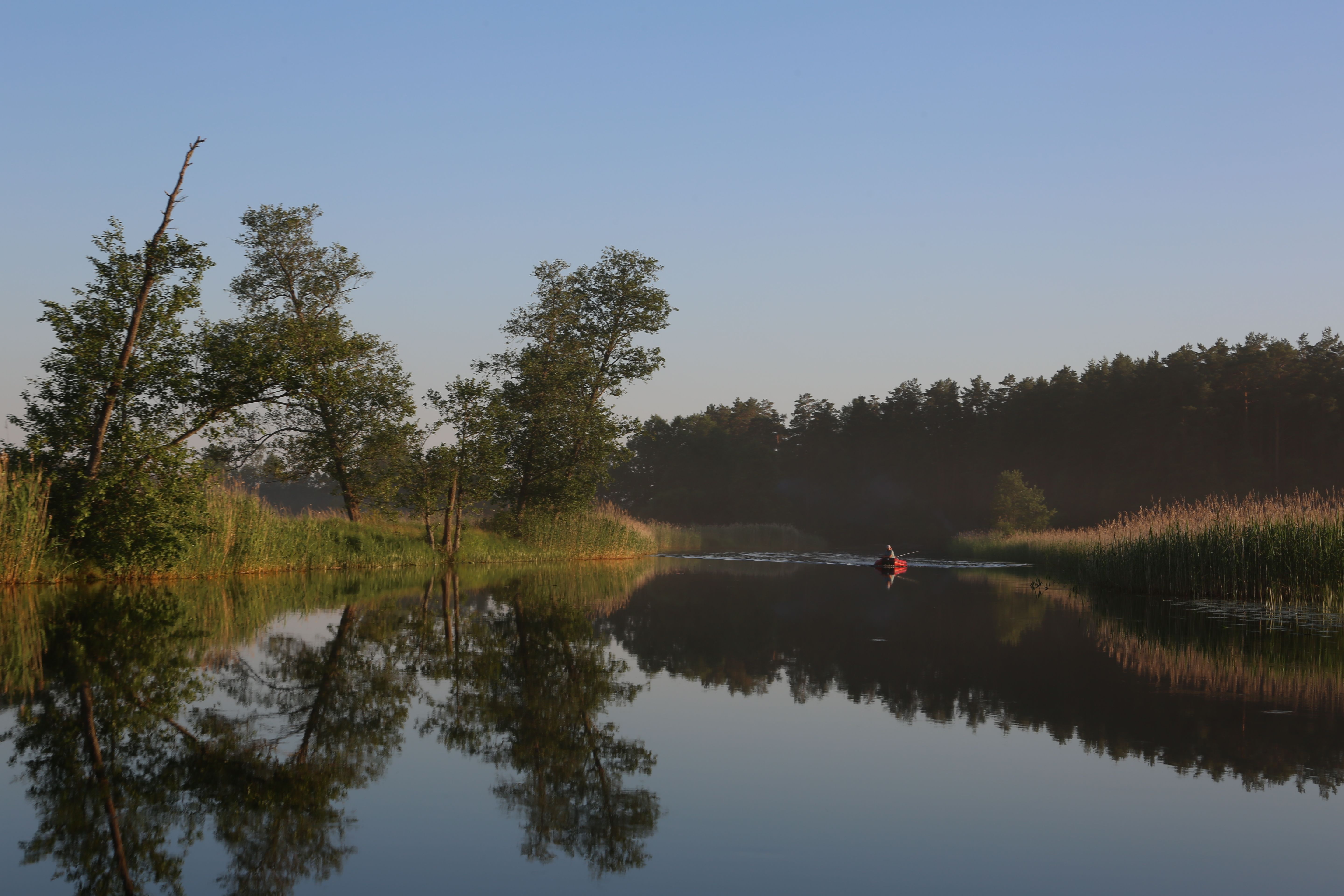 Peaceful early morning kayak tour on a tranquil river surrounded by greenery.