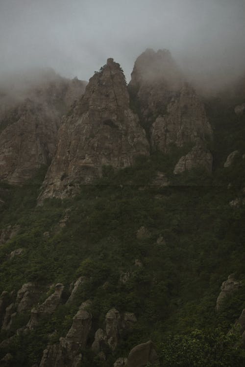 Základová fotografie zdarma na téma hory, mlha, mraky