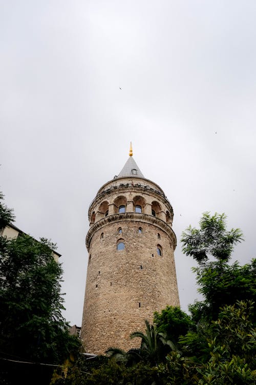 伊斯坦堡, 低角度拍攝, 土耳其 的 免費圖庫相片