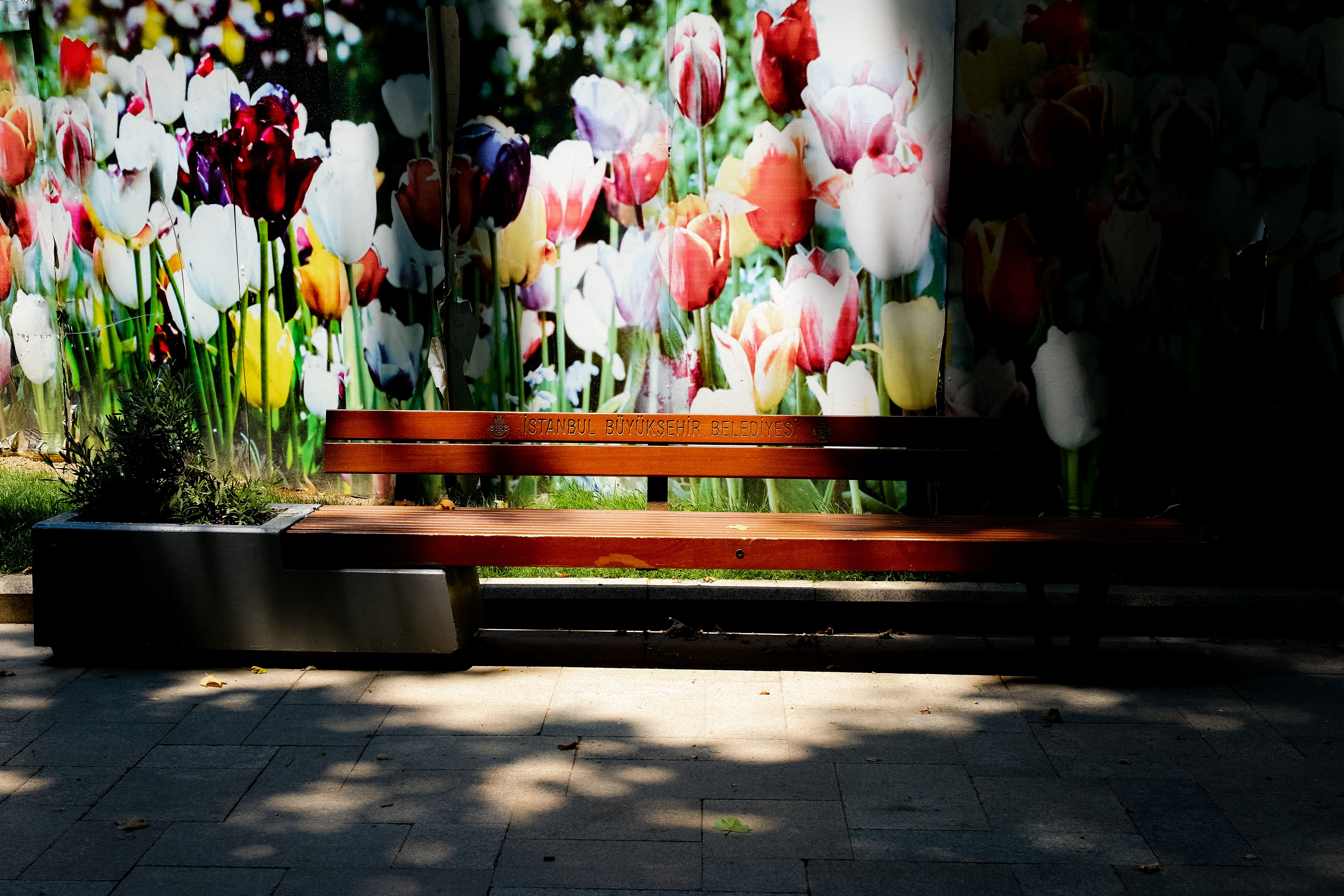 Banco em jardim florido