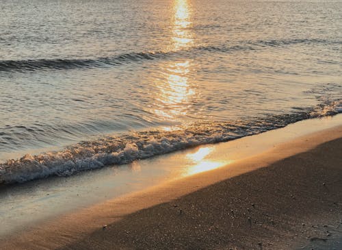 Sunlight Reflecting on Sea