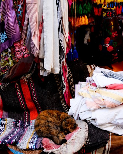 Free A cozy cat naps on vibrant textiles at a bazaar, showcasing diverse patterns and colors. Stock Photo