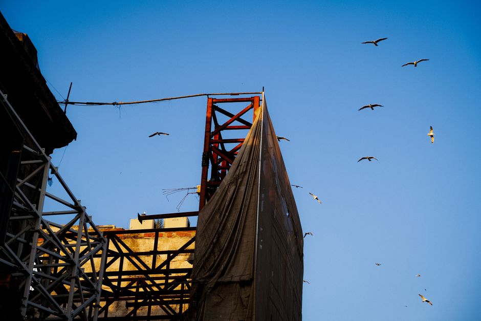 A construction site with metal structures, birds flying against a clear blue sky at sunset.