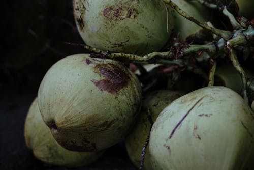 Fresh Green Coconut Fruit 