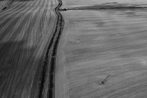 Grayscale Photo of an Agricultural Land