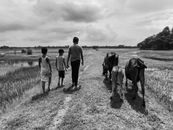 Grayscale Photo of People Walking on Grass Field With Horses