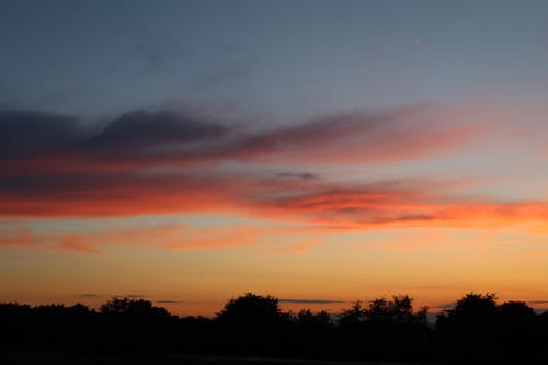 Foto profissional grátis de alvorecer, árvores, cair da noite