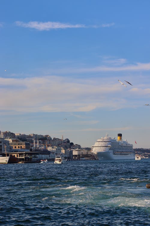 Cruise Ship on the Harbor