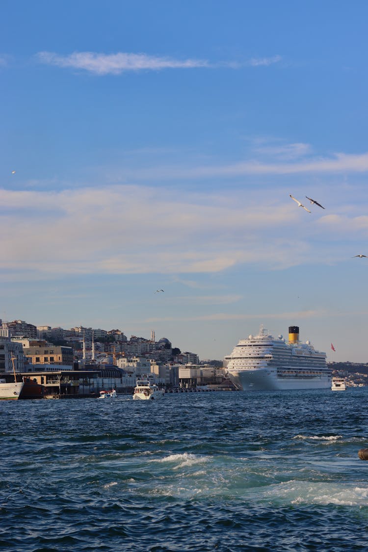 Cruise Ship On The Harbor