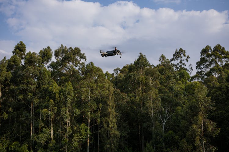 Drone Flying Over A Forest