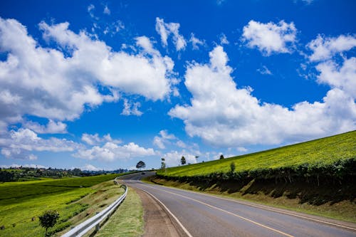 A Road Crossing the Agricultural Land