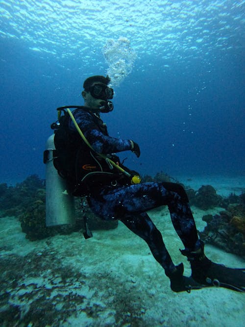 A Scuba Diver Underwater