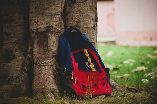 Fotografia In Primo Piano Di Zaino Su Albero