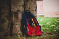 在自然的户外环境中，一个充满活力的红色背包靠在树干上