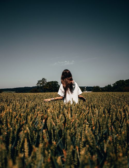 Woman Walking Through Field of Wheat · Free Stock Photo