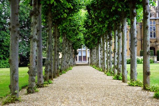 Pathway Between Trees Towards House with the Quote "A business that makes nothing but money is a poor business." written on it and have average color value #666F4E