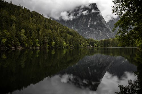 คลังภาพถ่ายฟรี ของ การสะท้อน, ทะเลสาบ plansee, ทะเลสาป