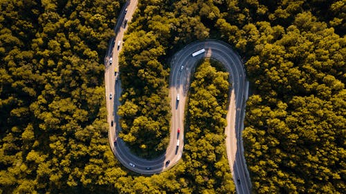 Imagine de stoc gratuită din arbori, autoturisme, codru