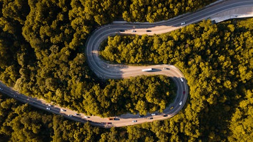 Darmowe zdjęcie z galerii z droga, drzewa, fotografia lotnicza