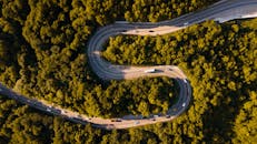 A Road Surrounded by Trees