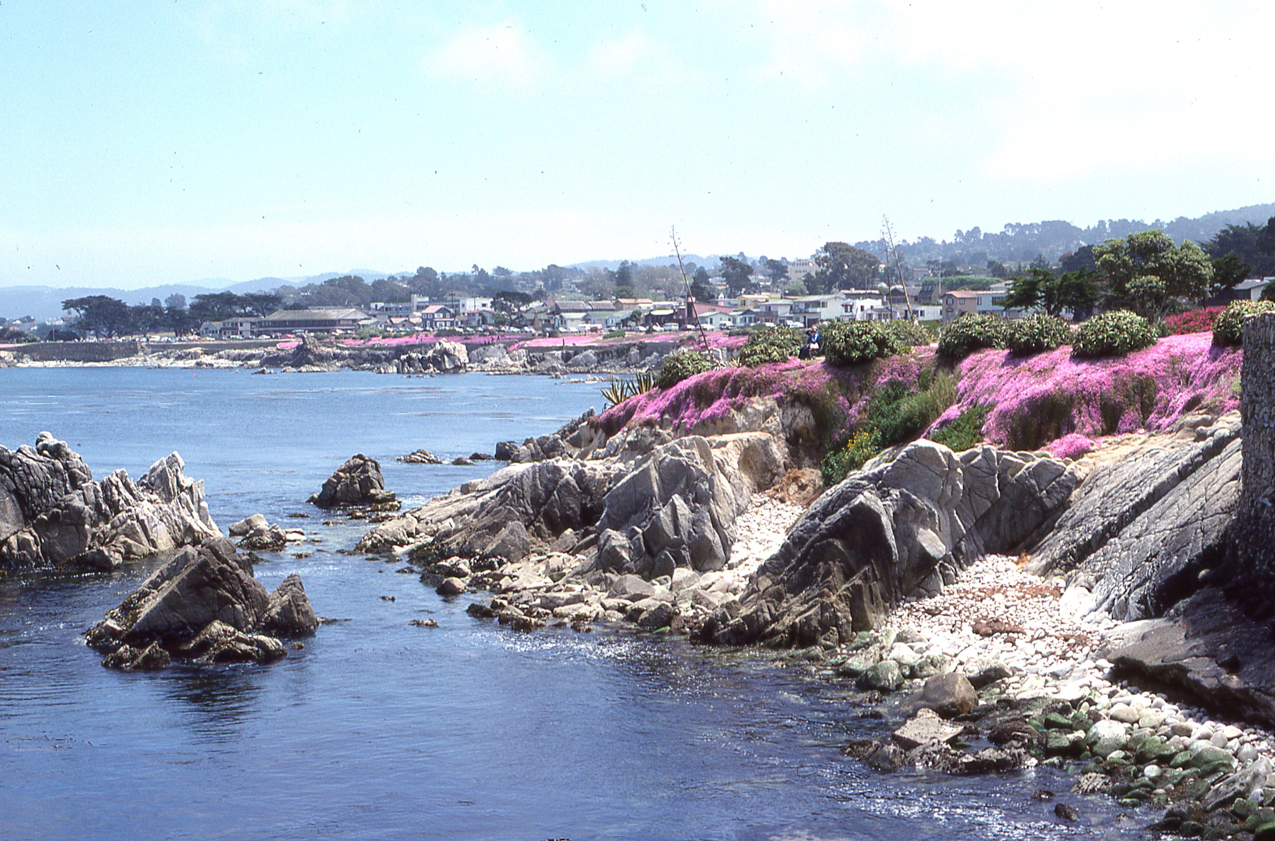 Pacific Grove — Street, Pacific Grove