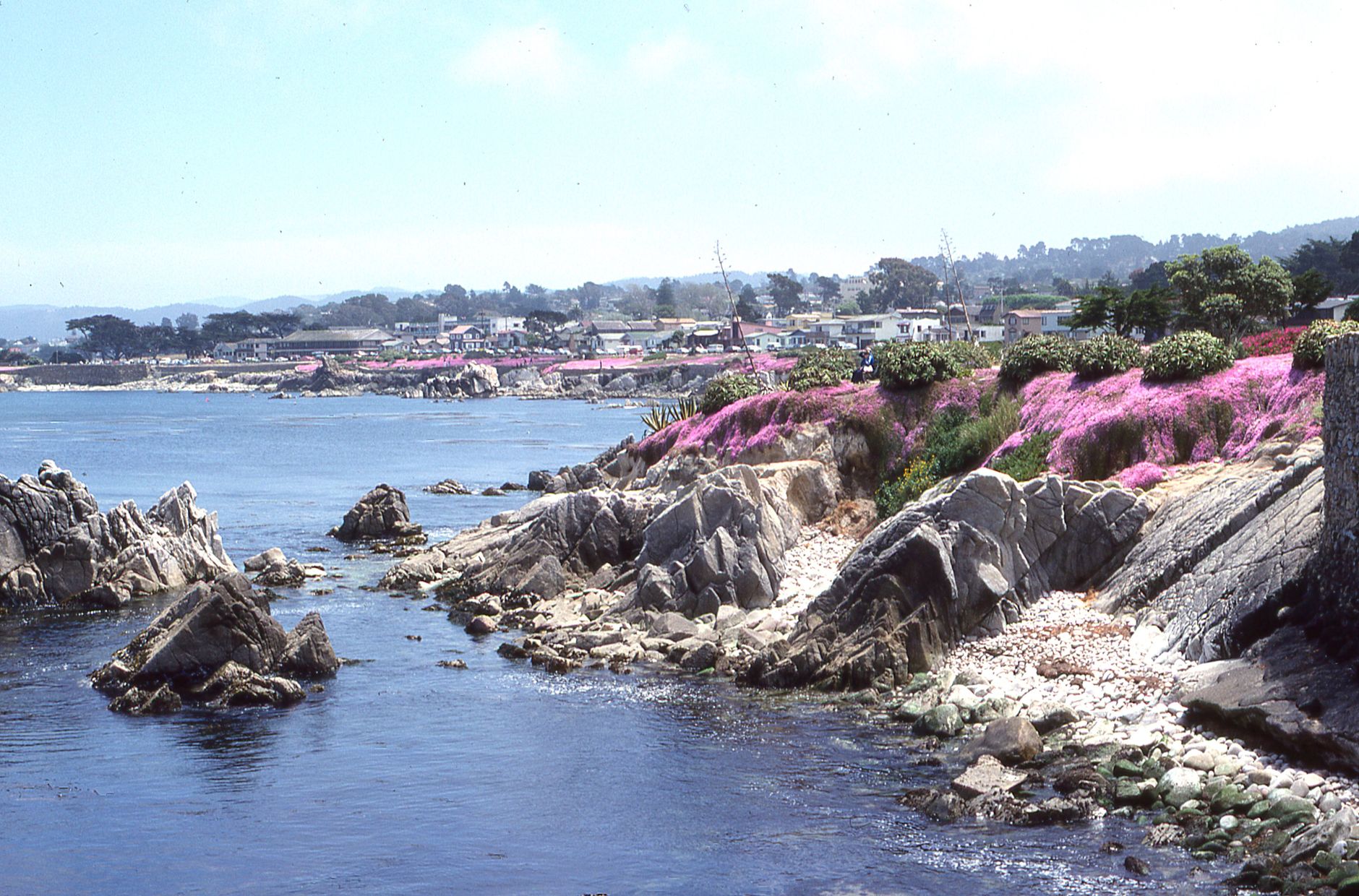 Pacific Grove — Street, Pacific Grove