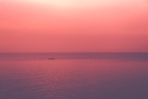 Foto d'estoc gratuïta de barca, capvespre, cel rosat