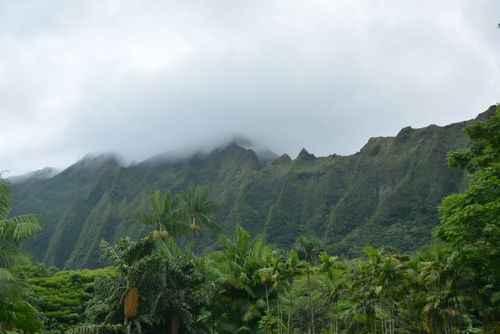 Free Breathtaking view of lush Hawaiian mountains shrouded in clouds, showcasing tropical greenery. Stock Photo