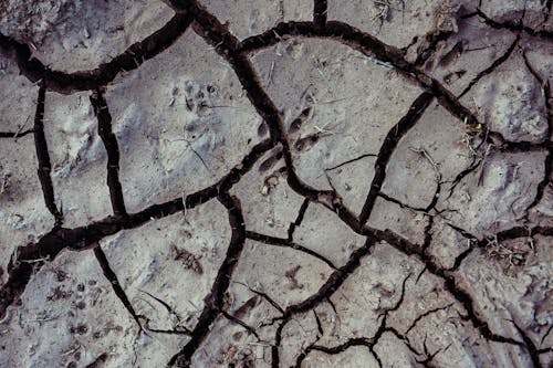 Photo of Cracks on the Ground