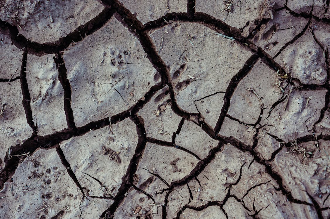 Základová fotografie zdarma na téma detail, drsný, mletý