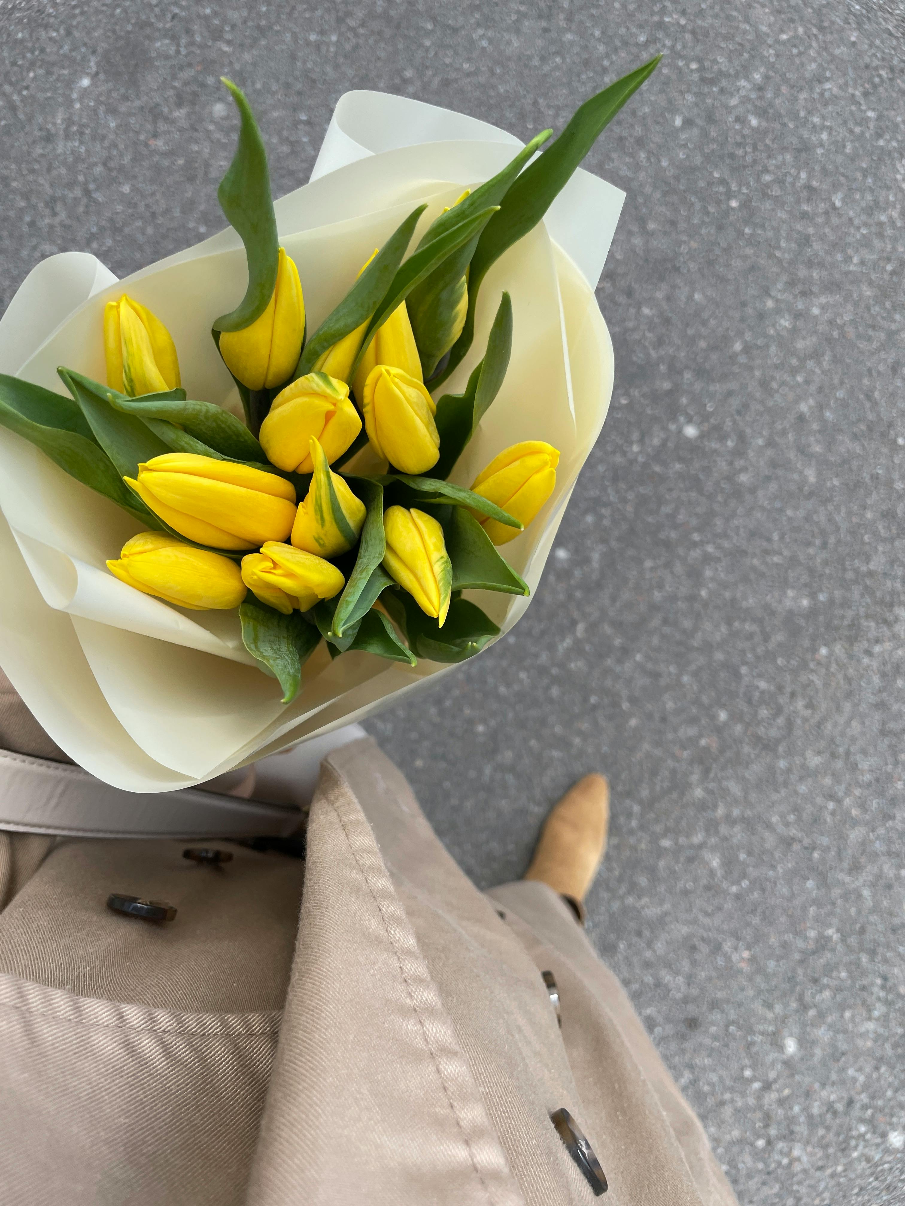 Yellow tulips bouquet in womans hand