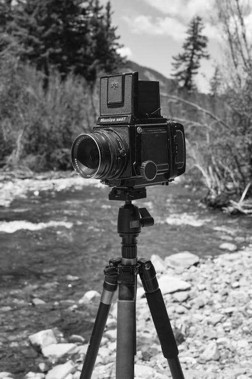 Free Grayscale Photo of a Vintage Camera Stock Photo