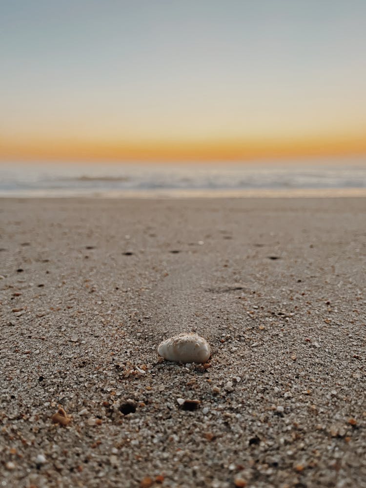 Close-Up Photo Of A Stone On The Sand