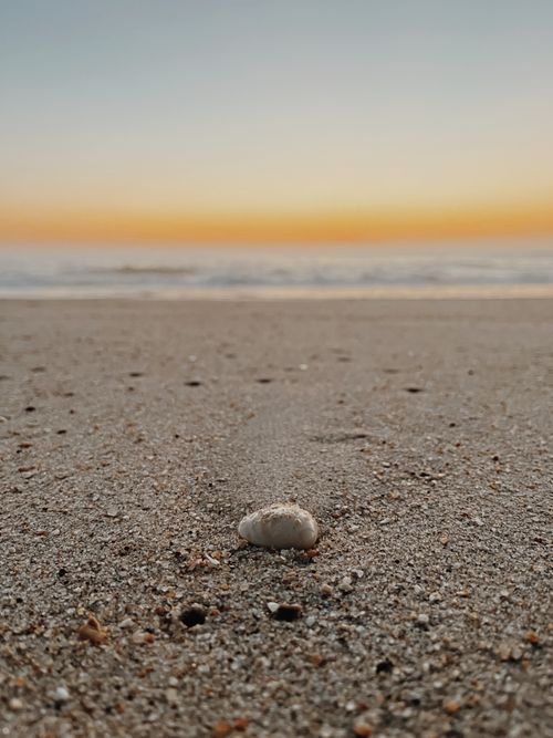 Free A tranquil beach scene in Coimbra, Portugal, showcasing a lone shell at sunset. Stock Photo